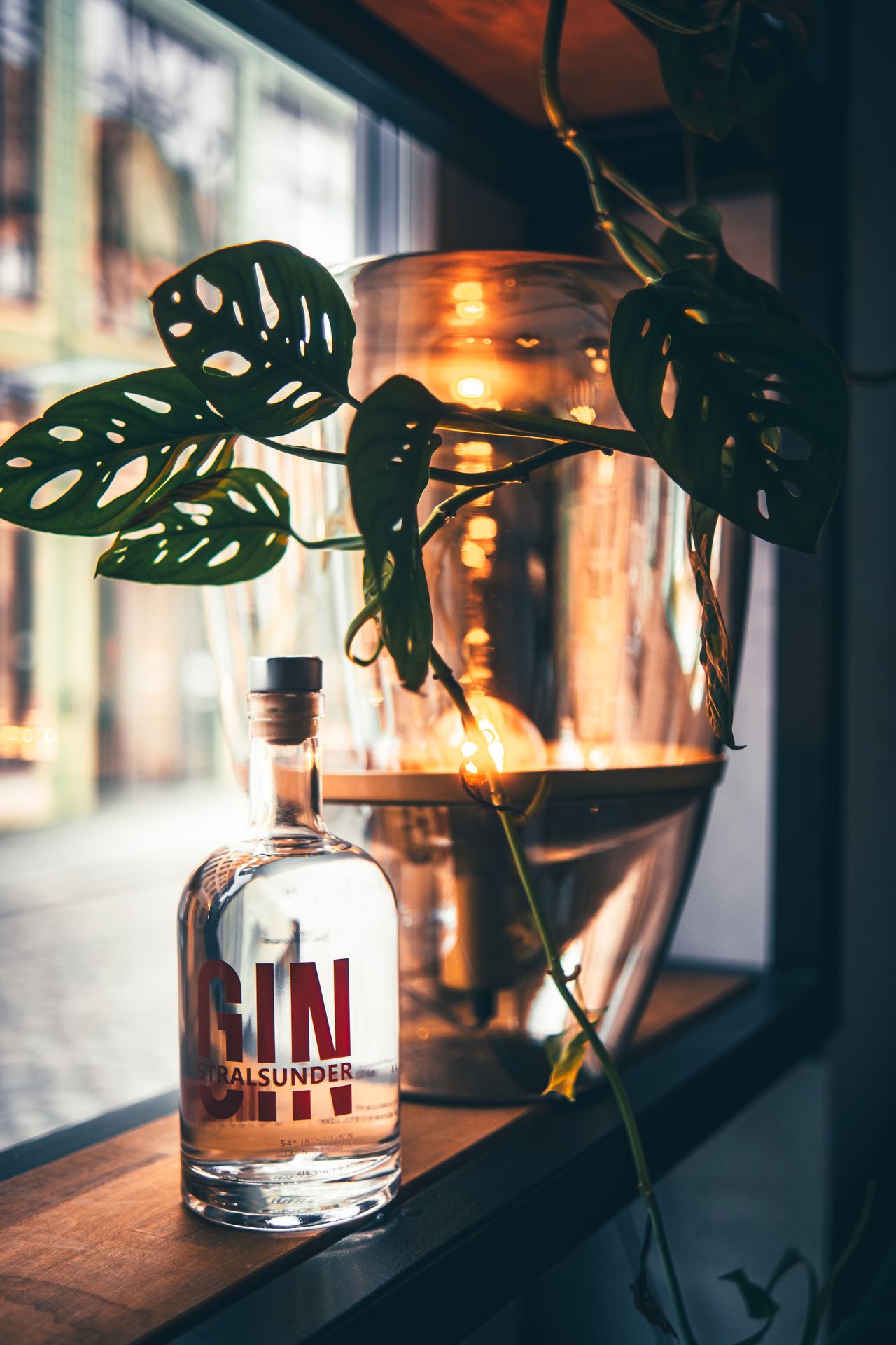 Gin